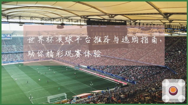世界杯滚球平台推荐与选购指南，助你精彩观赛体验