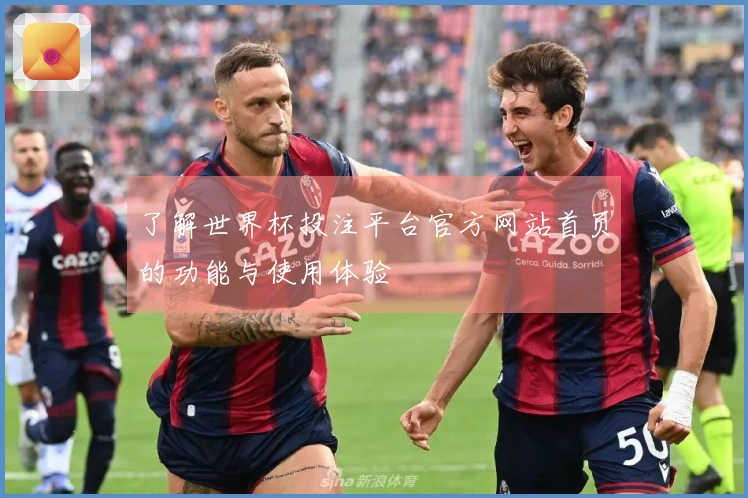 了解世界杯投注平台官方网站首页的功能与使用体验