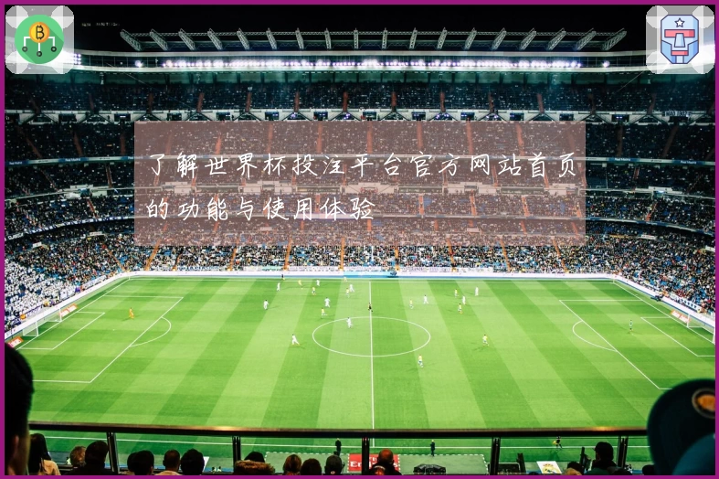 了解世界杯投注平台官方网站首页的功能与使用体验