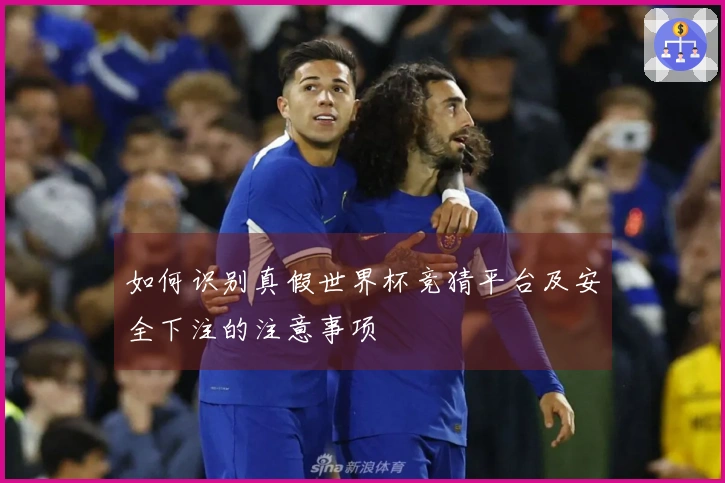如何识别真假世界杯竞猜平台及安全下注的注意事项