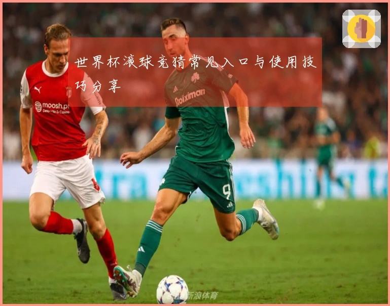 世界杯滚球竞猜常见入口与使用技巧分享