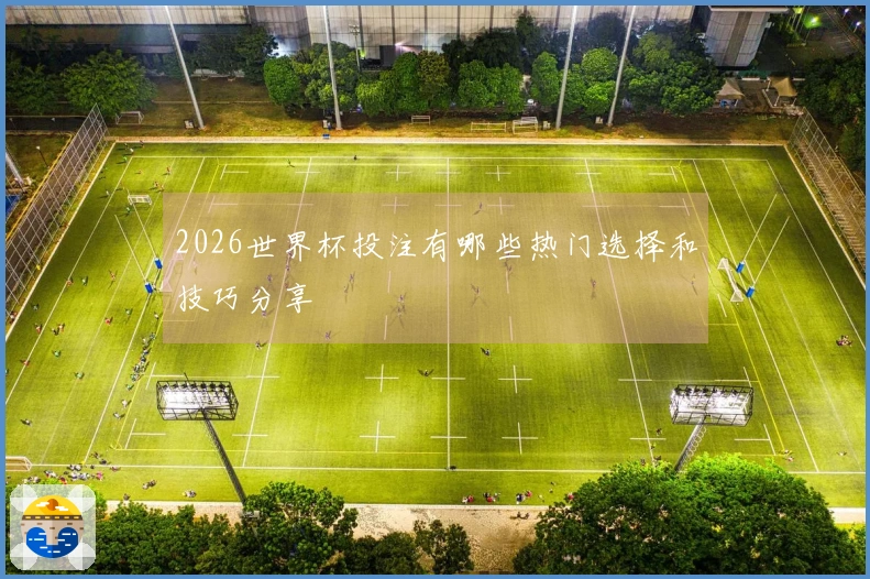 2026世界杯投注有哪些热门选择和技巧分享