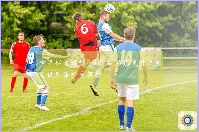 世界杯竞猜APP最新版功能使用说明与使用体验全解析