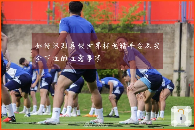 如何识别真假世界杯竞猜平台及安全下注的注意事项