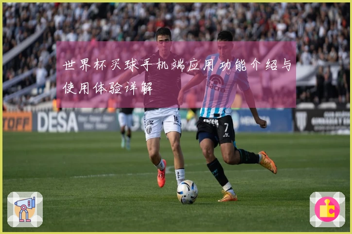 世界杯买球手机端应用功能介绍与使用体验详解