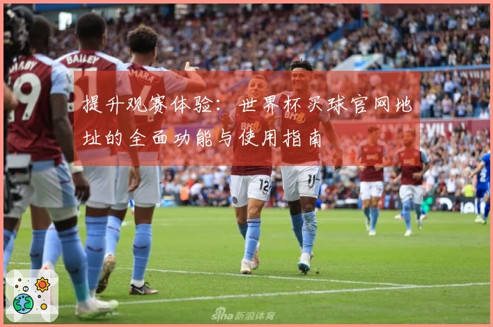 提升观赛体验：世界杯买球官网地址的全面功能与使用指南