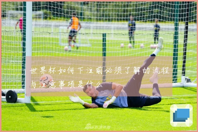 世界杯如何下注前必须了解的流程与注意事项是什么