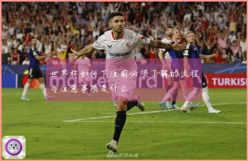 世界杯如何下注前必须了解的流程与注意事项是什么