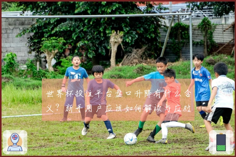世界杯投注平台盘口升降有什么含义？新手用户应该如何解读与应对